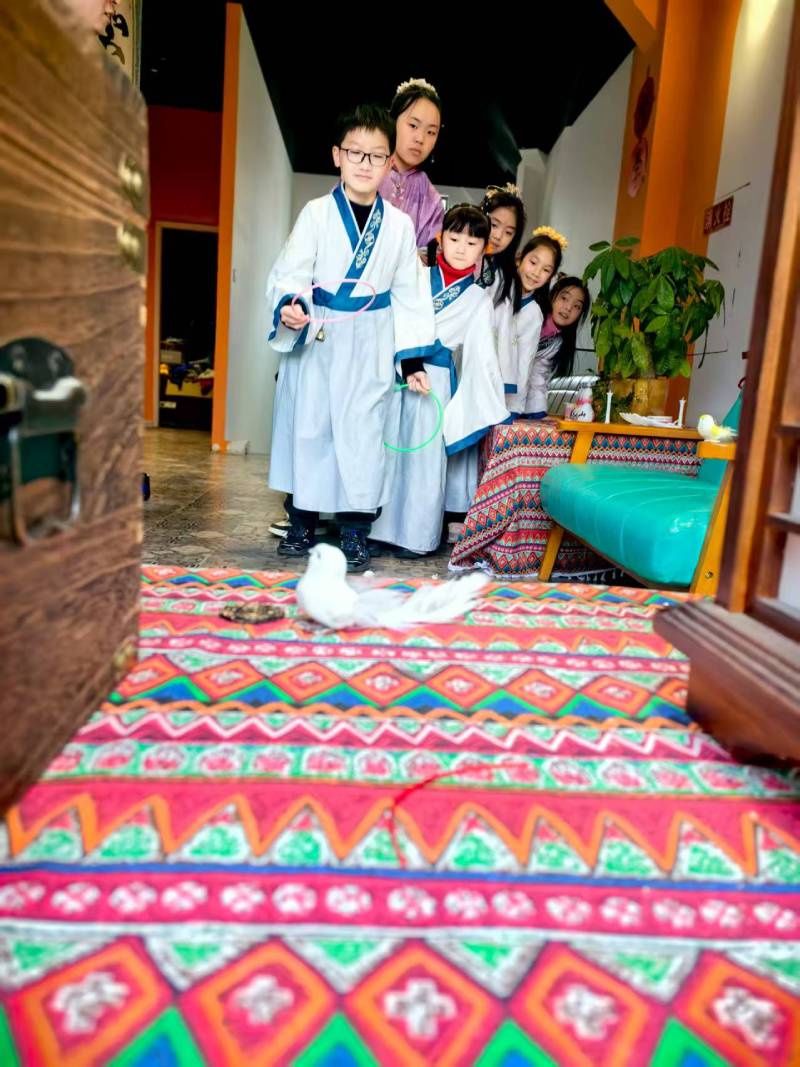 滨湖区文旅项目策划